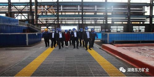 全國電解金屬錳創新聯盟成員單位參觀湖南東方礦業，共探金屬礦批發新機遇